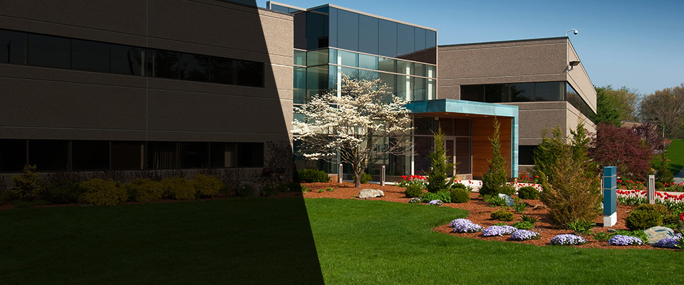 Palmer Landscapers