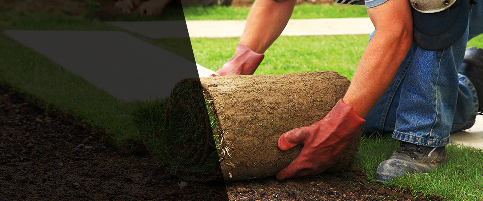 Palmer Landscapers